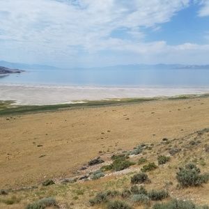 Big Beautiful Women shop here!